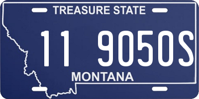 MT license plate 119050S