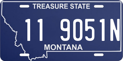 MT license plate 119051N