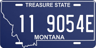 MT license plate 119054E