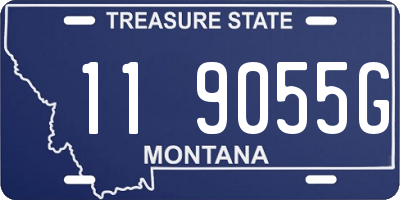 MT license plate 119055G
