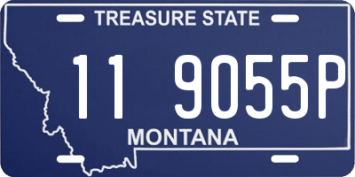 MT license plate 119055P