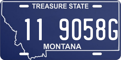 MT license plate 119058G