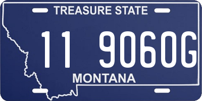 MT license plate 119060G