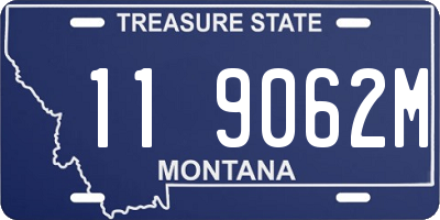 MT license plate 119062M