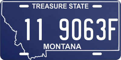 MT license plate 119063F