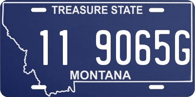 MT license plate 119065G