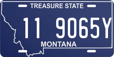 MT license plate 119065Y