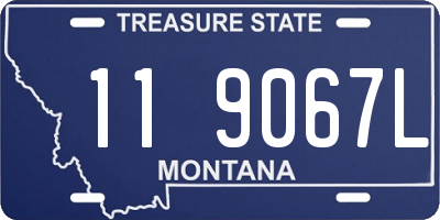 MT license plate 119067L