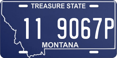 MT license plate 119067P