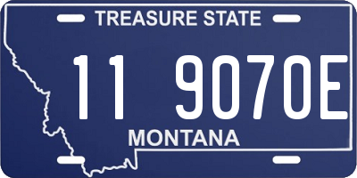 MT license plate 119070E