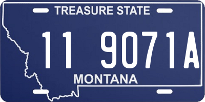 MT license plate 119071A