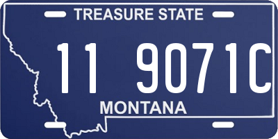 MT license plate 119071C