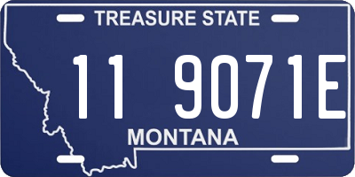 MT license plate 119071E