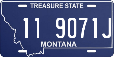 MT license plate 119071J