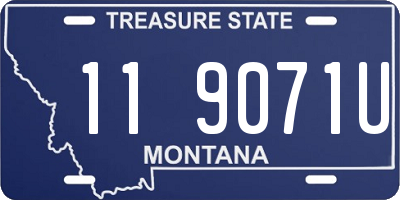 MT license plate 119071U