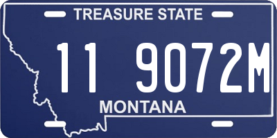 MT license plate 119072M
