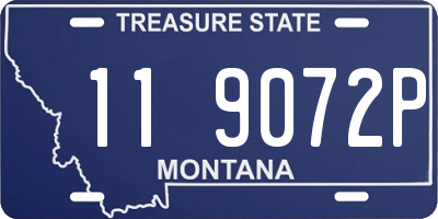 MT license plate 119072P