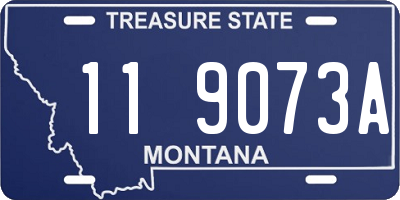 MT license plate 119073A