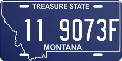 MT license plate 119073F