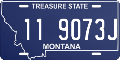 MT license plate 119073J