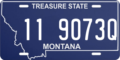 MT license plate 119073Q