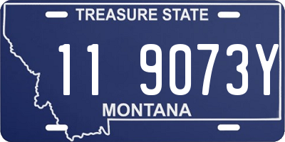 MT license plate 119073Y