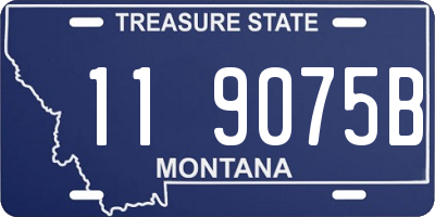 MT license plate 119075B