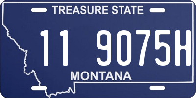 MT license plate 119075H