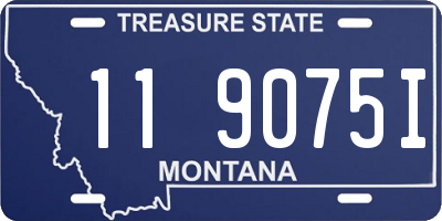 MT license plate 119075I