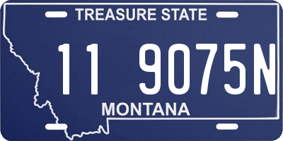 MT license plate 119075N