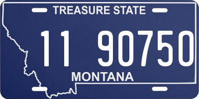 MT license plate 119075O