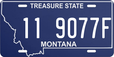 MT license plate 119077F