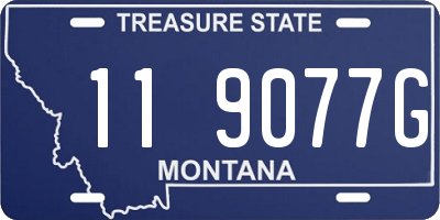 MT license plate 119077G