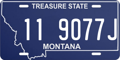 MT license plate 119077J