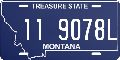 MT license plate 119078L