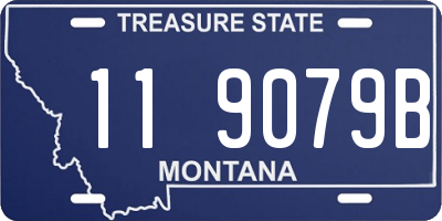 MT license plate 119079B