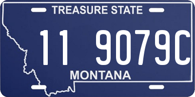 MT license plate 119079C