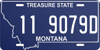 MT license plate 119079D