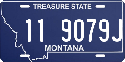 MT license plate 119079J