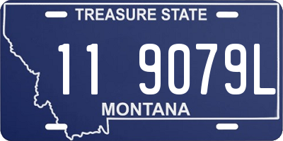 MT license plate 119079L