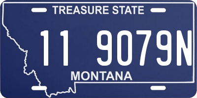 MT license plate 119079N