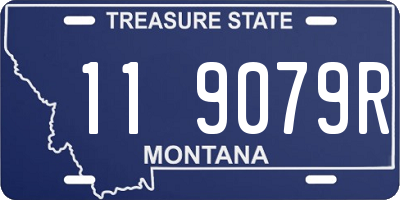 MT license plate 119079R