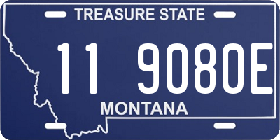 MT license plate 119080E