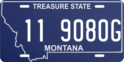 MT license plate 119080G