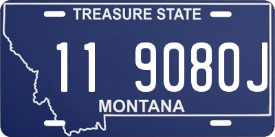MT license plate 119080J