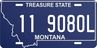 MT license plate 119080L