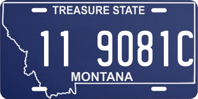 MT license plate 119081C