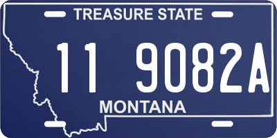 MT license plate 119082A