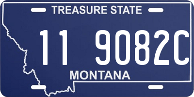 MT license plate 119082C