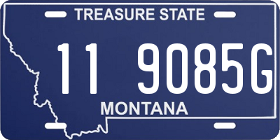MT license plate 119085G